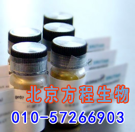 方程生物试剂图片 (6).jpg 人墨蝶呤还原酶(SPR)检测/(ELISA)kit试剂盒/免费检测