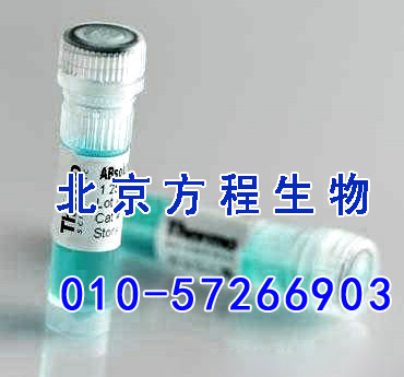 方程生物试剂图片 (4).jpg 人内皮素受体B(ETRB)检测/(ELISA)kit试剂盒/免费检测