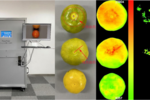 FluorTron®多功能高光谱成像分析技术应用于食品品质检测