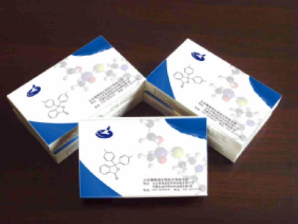 人鳞状上皮细胞癌抗原2(SCCAg-2)ELISA试剂盒
