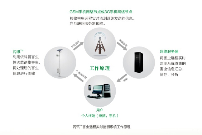 在线害虫远程实时监测系统/数字化害虫监测仪