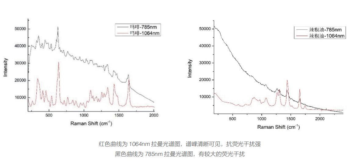 卓立汉光1064nm便携拉曼光谱仪